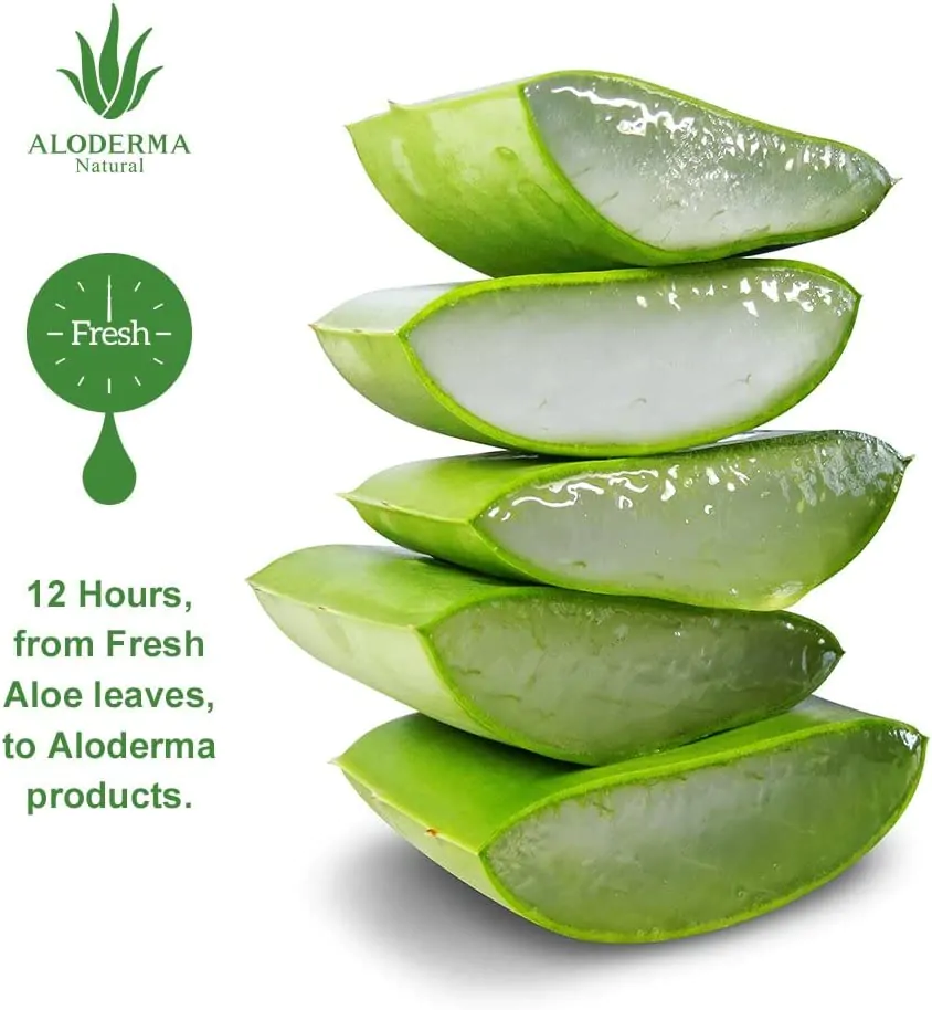 61+wpaD8gbL._AC_SL1024_